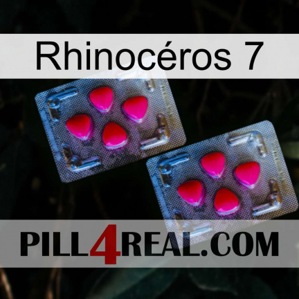 Rhinocéros 7 14